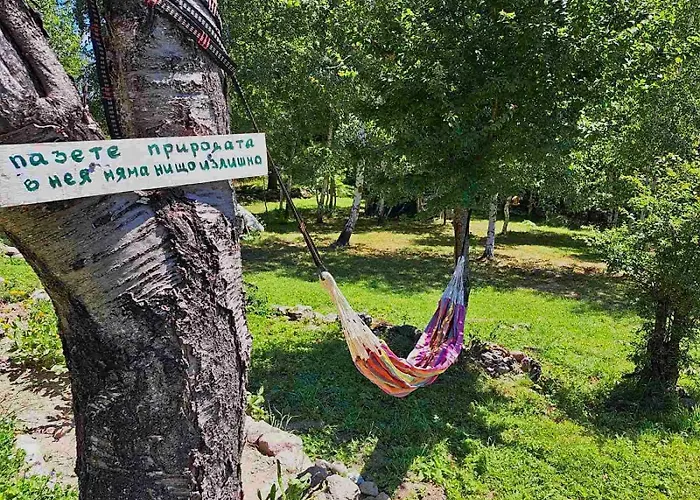 брезите * パンポロボ